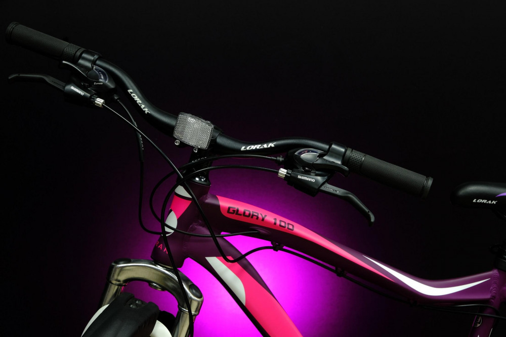 Lorak Glory 100 Матовый Фиолетовый/Розовый рама 15 (на рост 141-160)