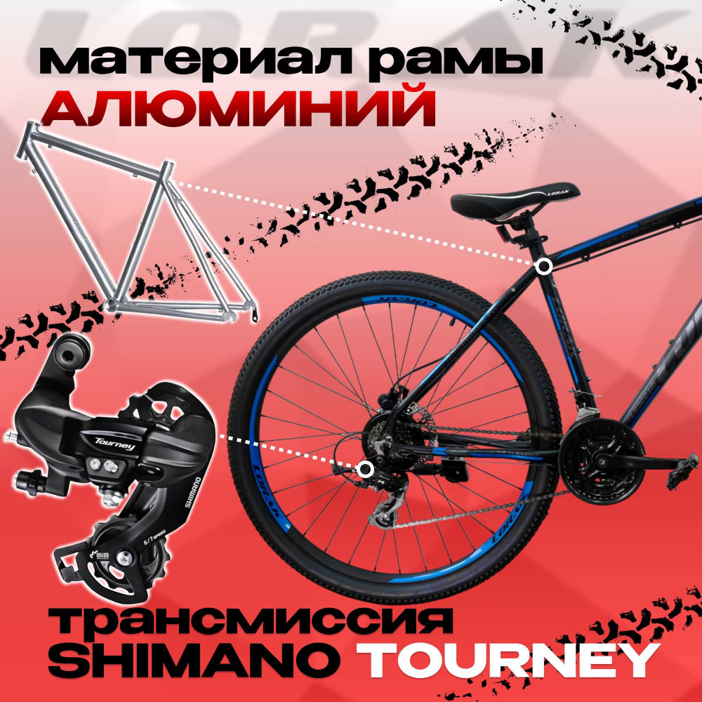 Lorak Sel 8900 HD Чёрный/Синий Матовый 21р (на рост 183-190)