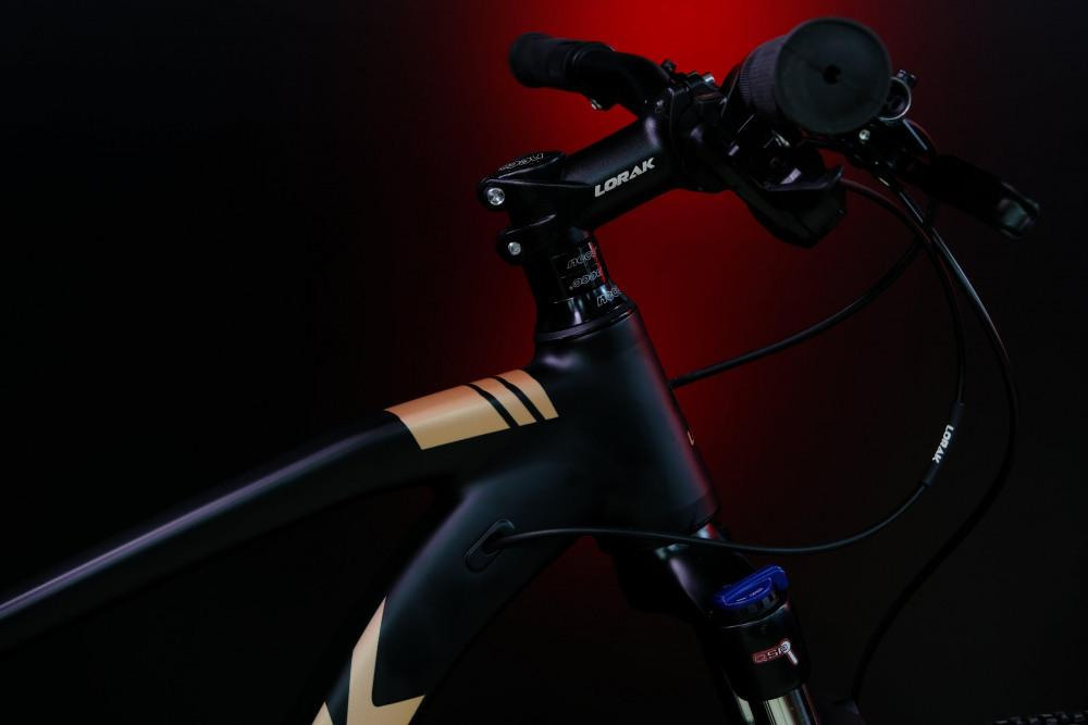 LORAK Sel 9300 Матовый Чёрный/Коричневый 22р (на рост 183-193)